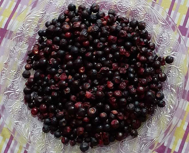Phalsa Fruit Benefits in Hindi,फालसा फल के फायदे